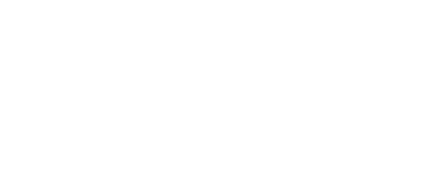 TEMIS Services